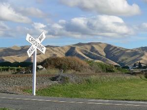 Near Blenheim, South Island, New Zealand